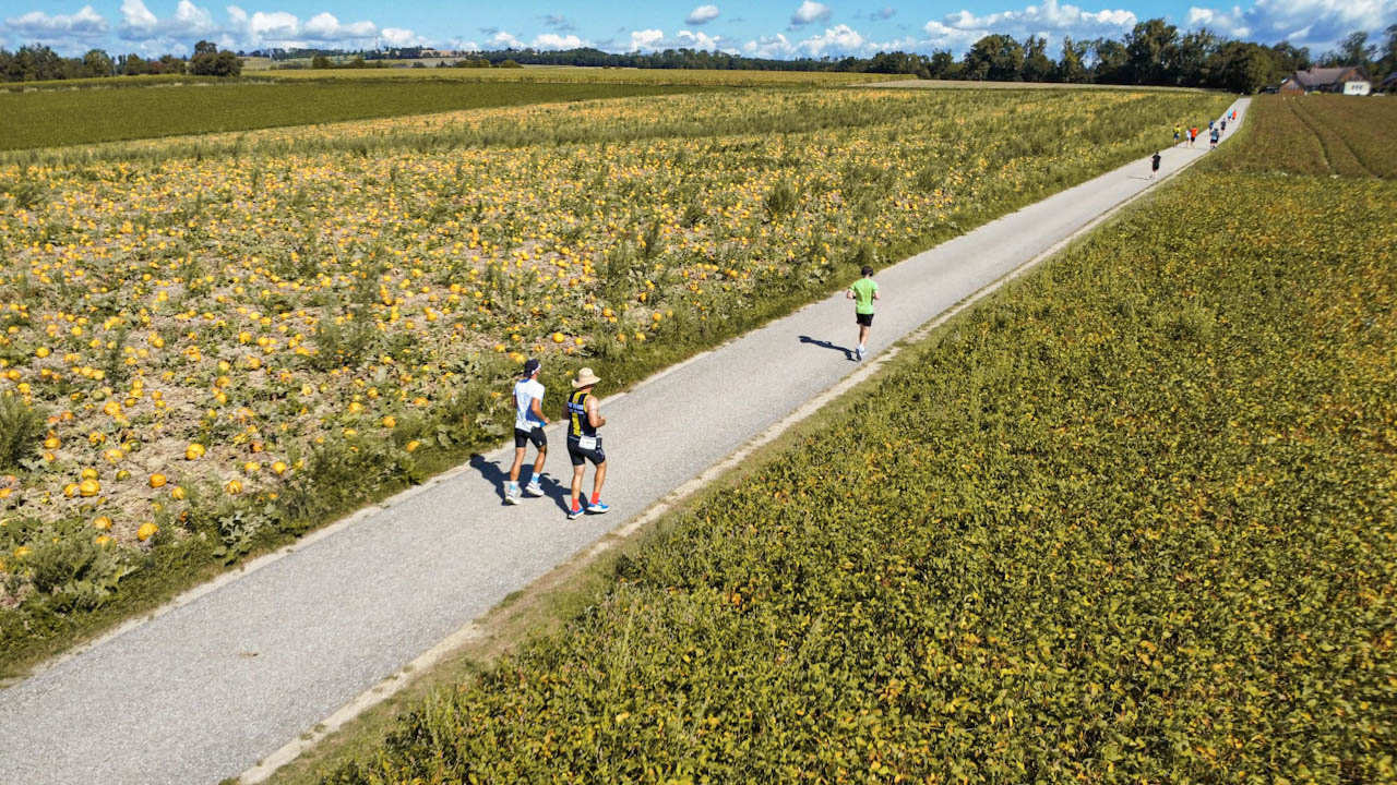 Drohnenaufnahme: Läufer:innen auf dem Weg quer durch das Kürbisfeld, 2025